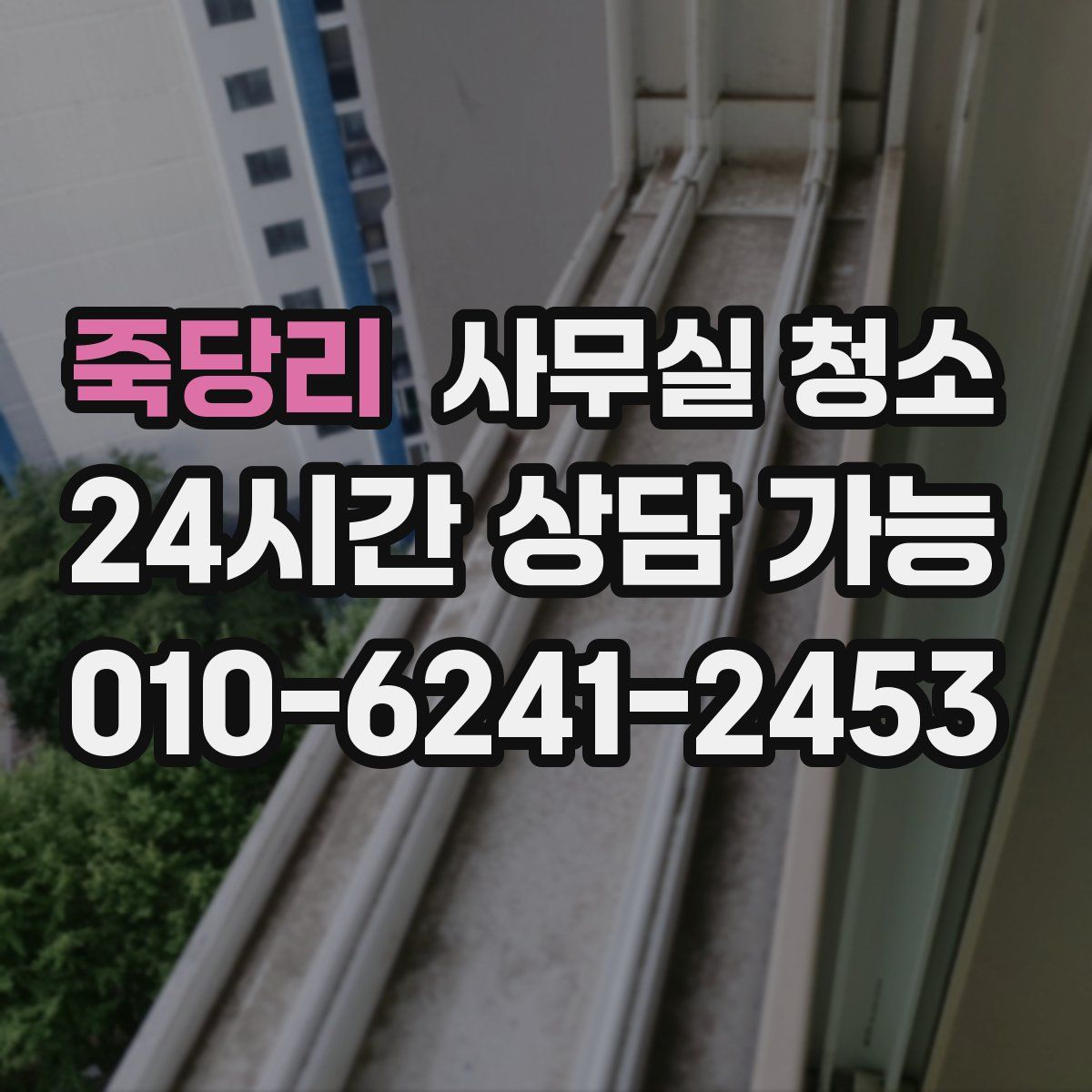 죽당리 사무실 청소