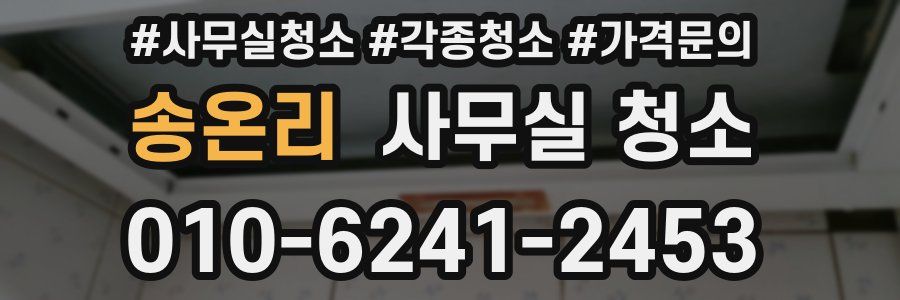 송온리 사무실 청소