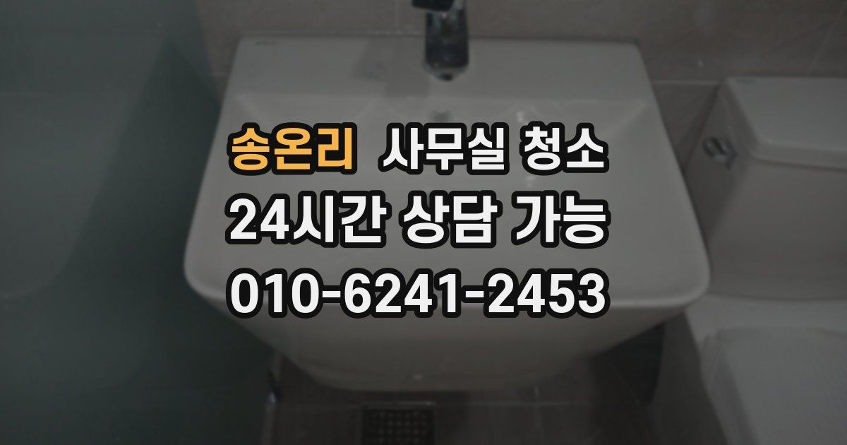 송온리 사무실 청소