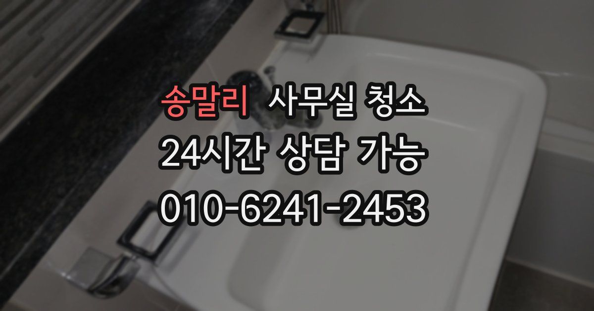 송말리 사무실 청소