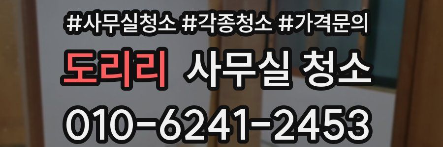 도리리 사무실 청소