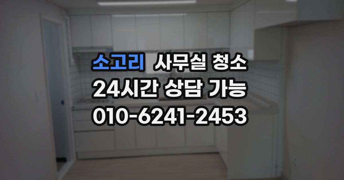 소고리 사무실 청소