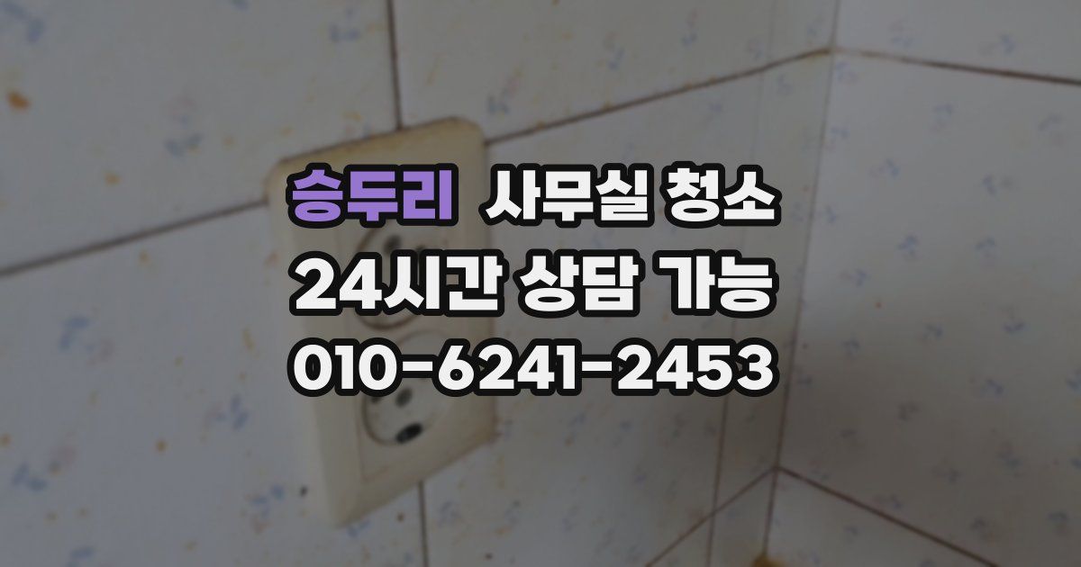 승두리 사무실 청소