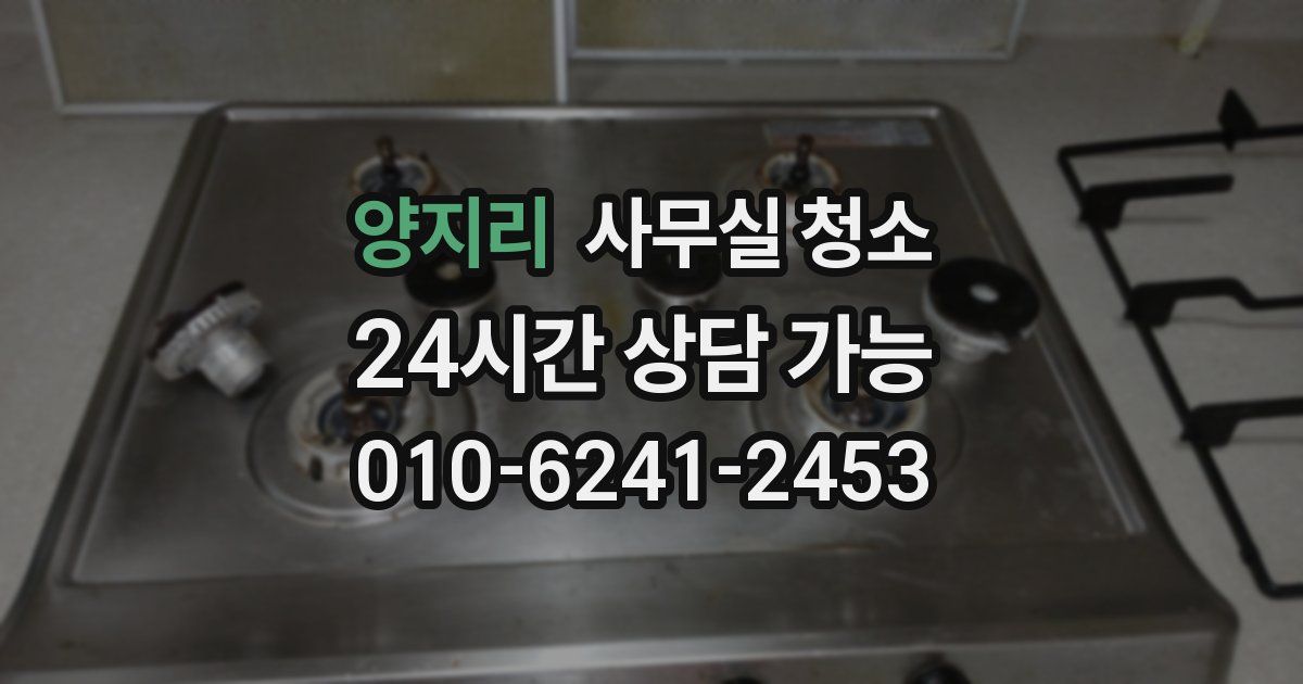 양지리 사무실 청소