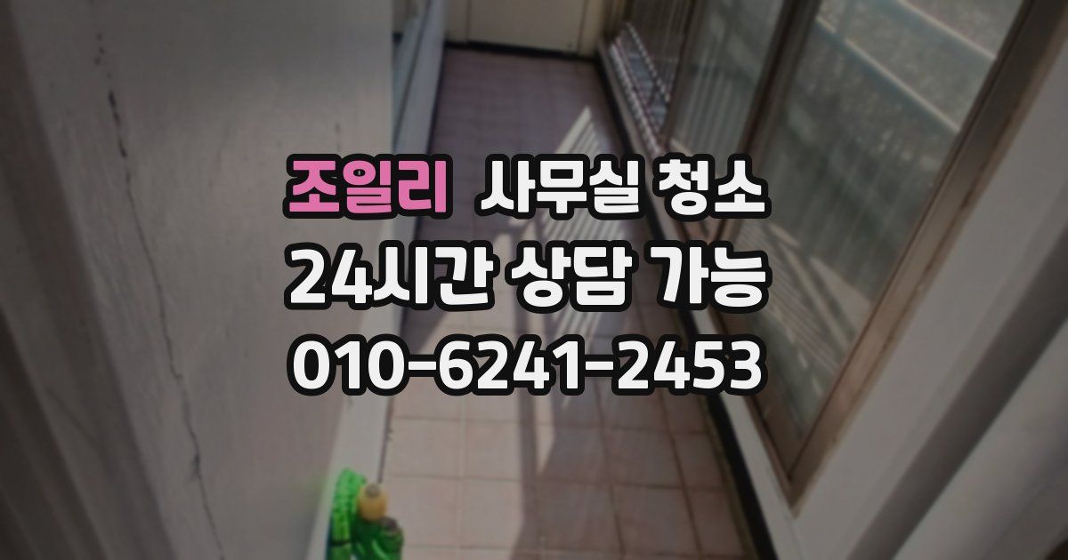 조일리 사무실 청소