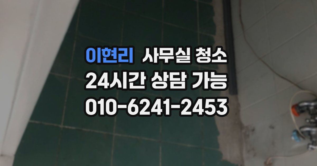 이현리 사무실 청소