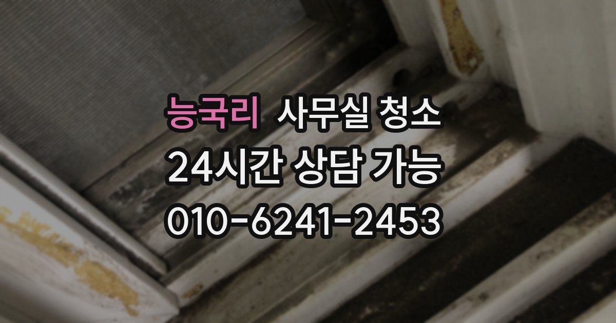 능국리 사무실 청소