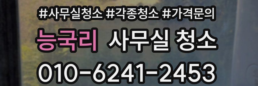 능국리 사무실 청소