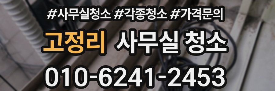 고정리 사무실 청소
