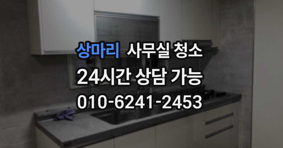 상마리 사무실 청소