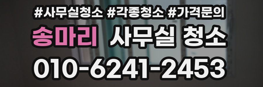 송마리 사무실 청소