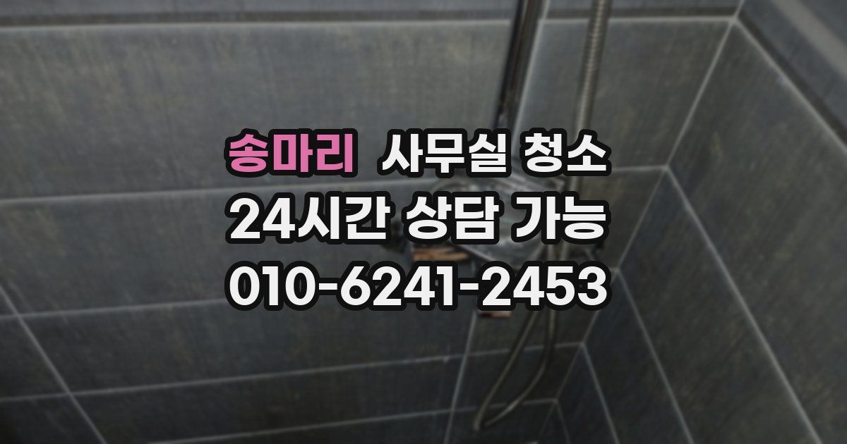 송마리 사무실 청소