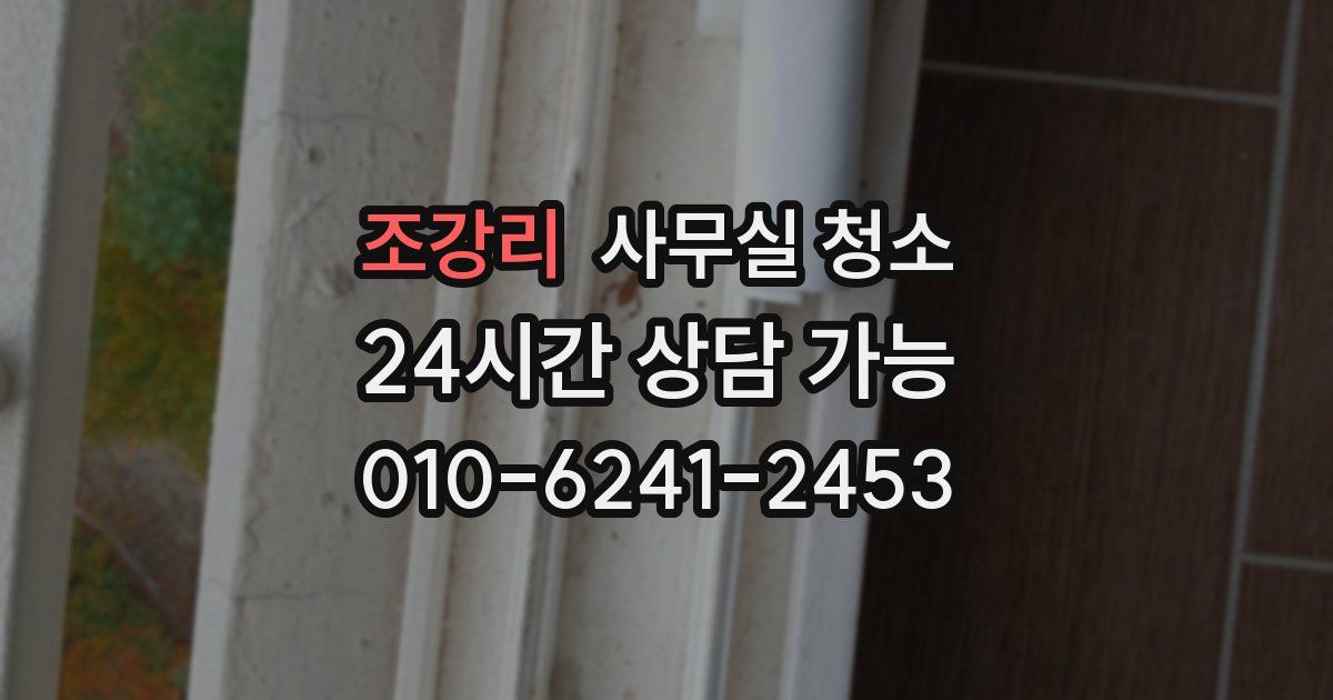 조강리 사무실 청소