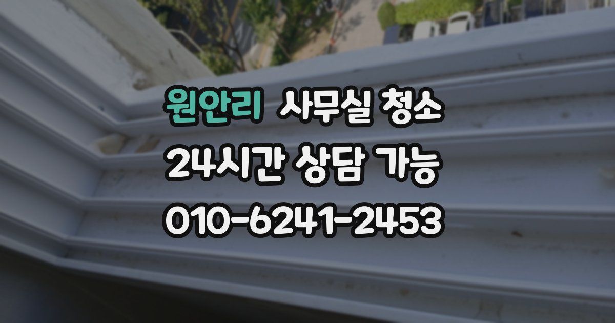 원안리 사무실 청소