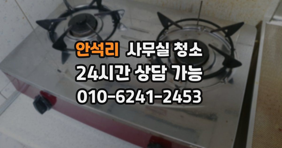 안석리 사무실 청소