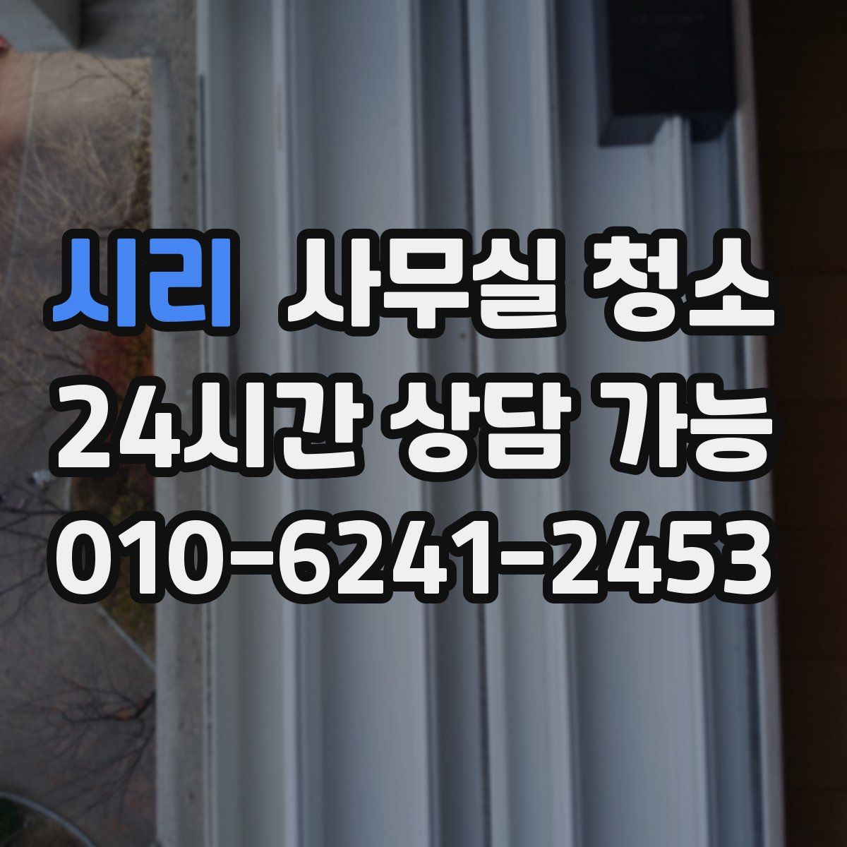 시리 사무실 청소