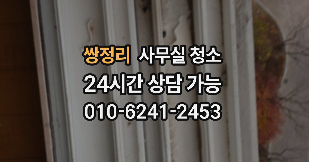 쌍정리 사무실 청소
