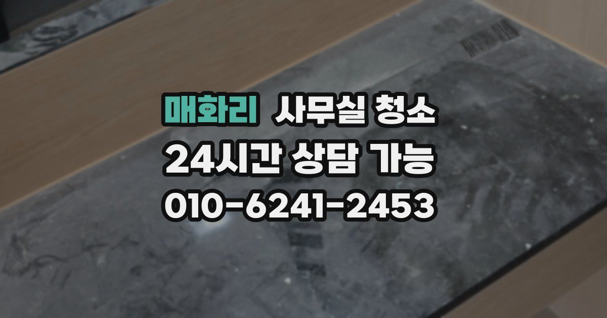매화리 사무실 청소