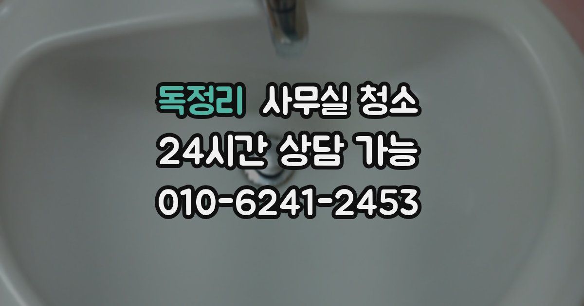 독정리 사무실 청소