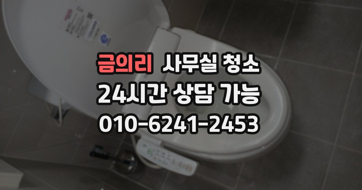금의리 사무실 청소