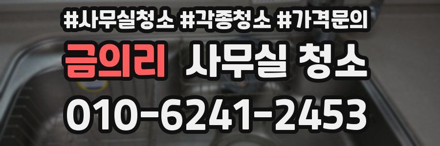 금의리 사무실 청소