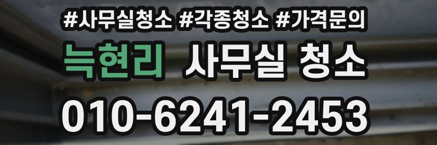 늑현리 사무실 청소