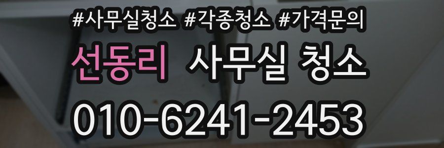 선동리 사무실 청소