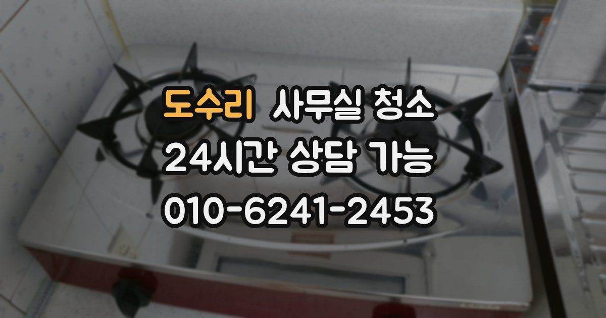 도수리 사무실 청소