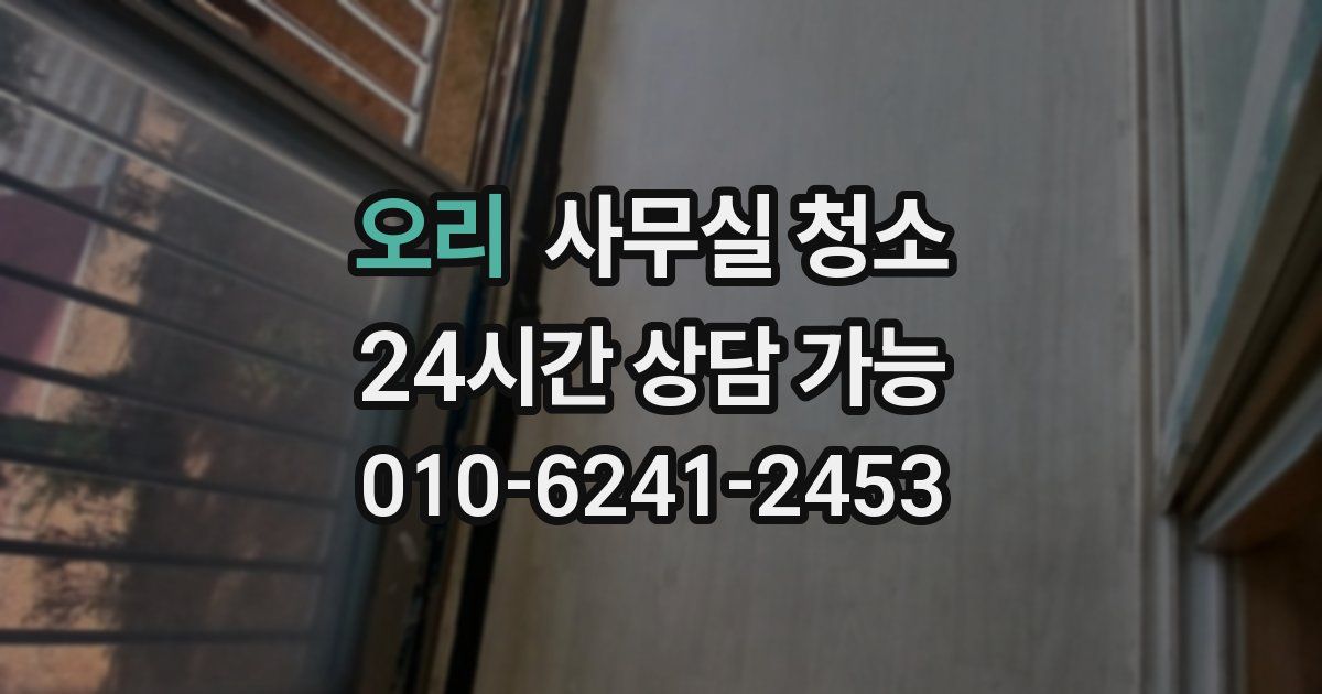 오리 사무실 청소