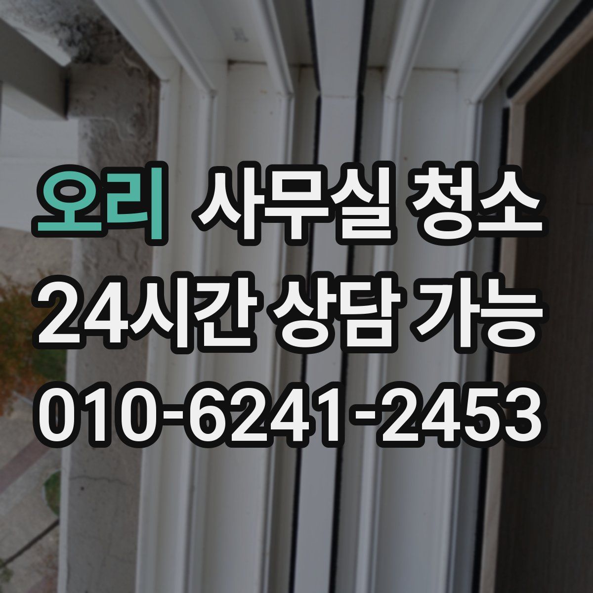 오리 사무실 청소
