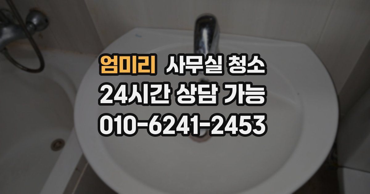 엄미리 사무실 청소