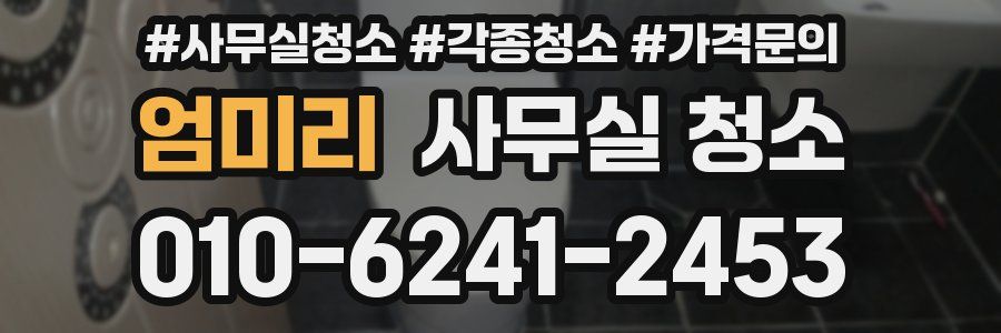 엄미리 사무실 청소