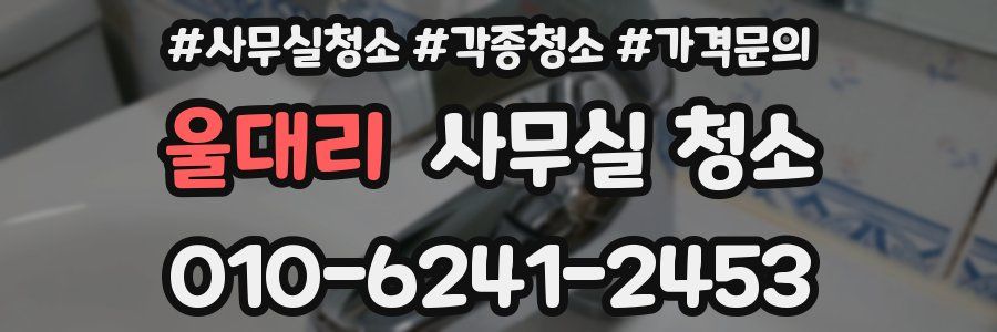 울대리 사무실 청소