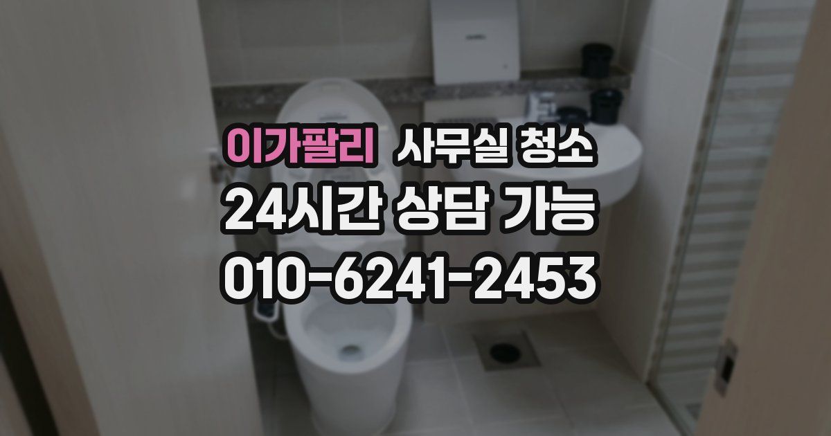 이가팔리 사무실 청소