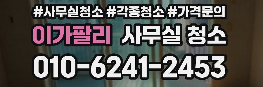 이가팔리 사무실 청소