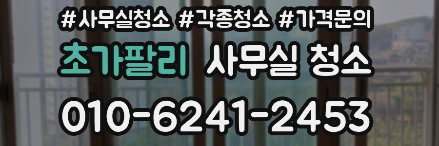 초가팔리 사무실 청소