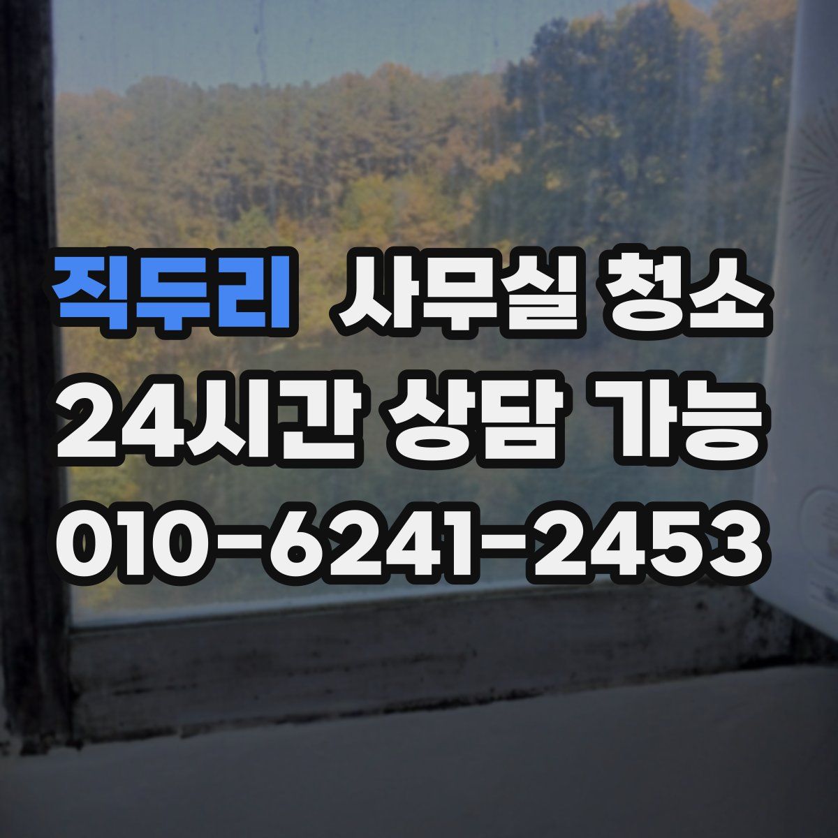 직두리 사무실 청소