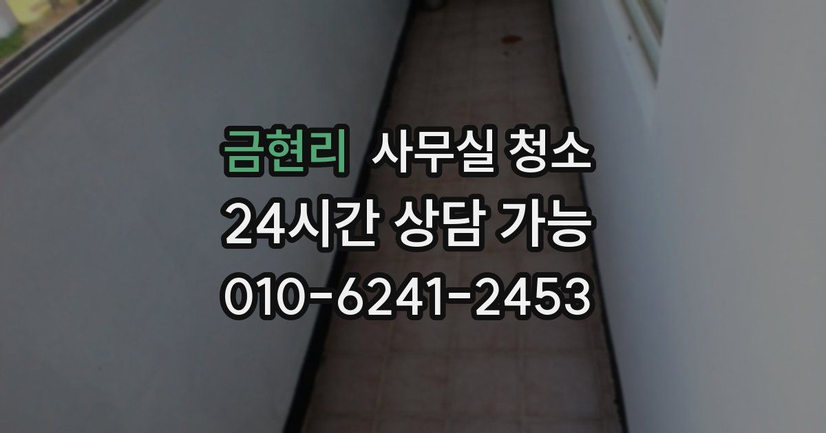 금현리 사무실 청소