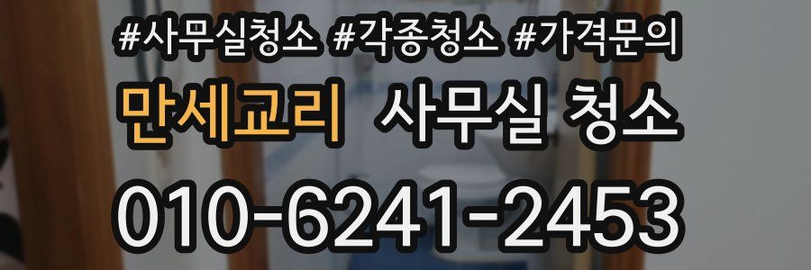 만세교리 사무실 청소