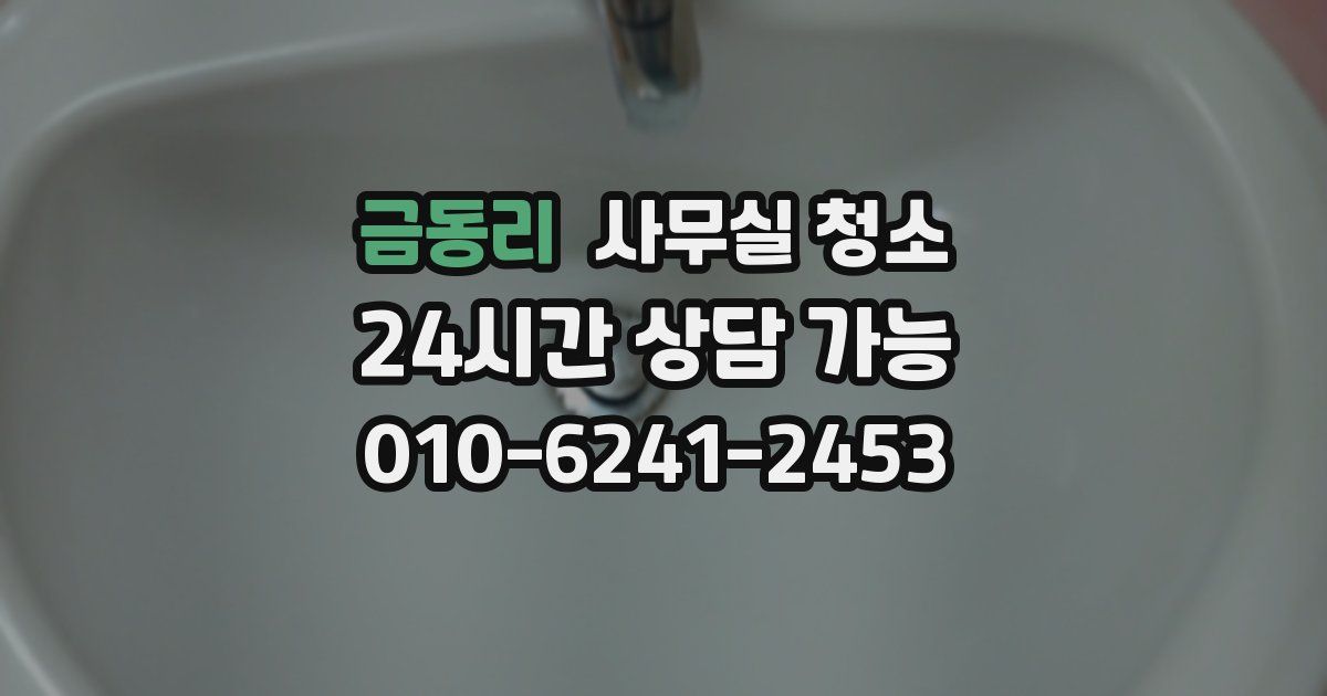 금동리 사무실 청소