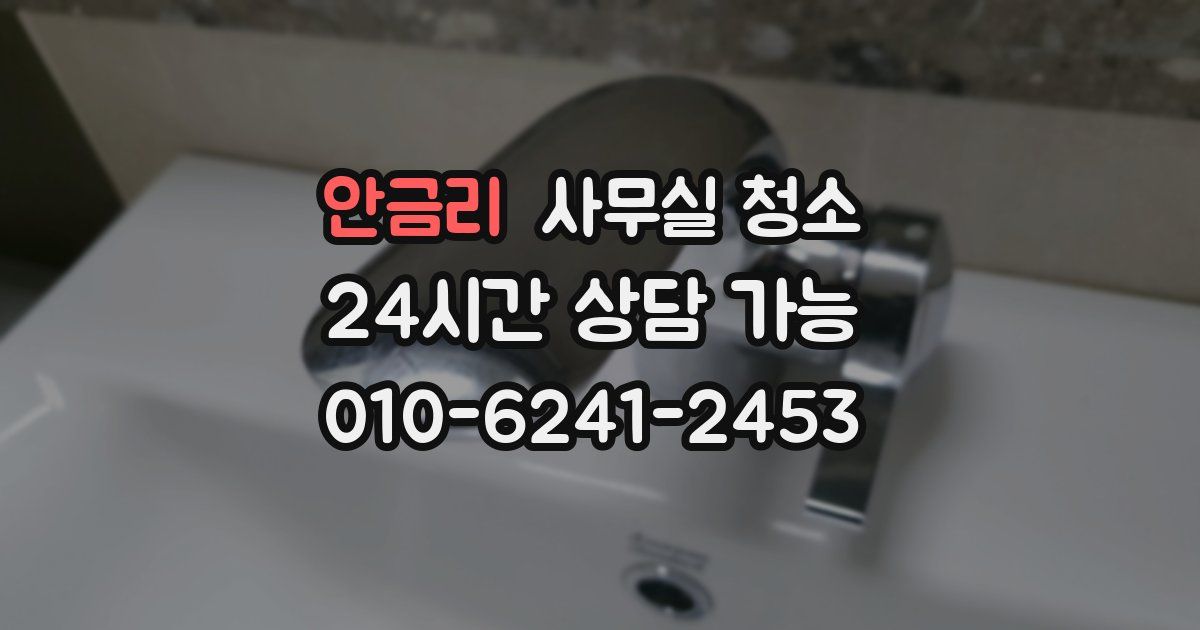 안금리 사무실 청소