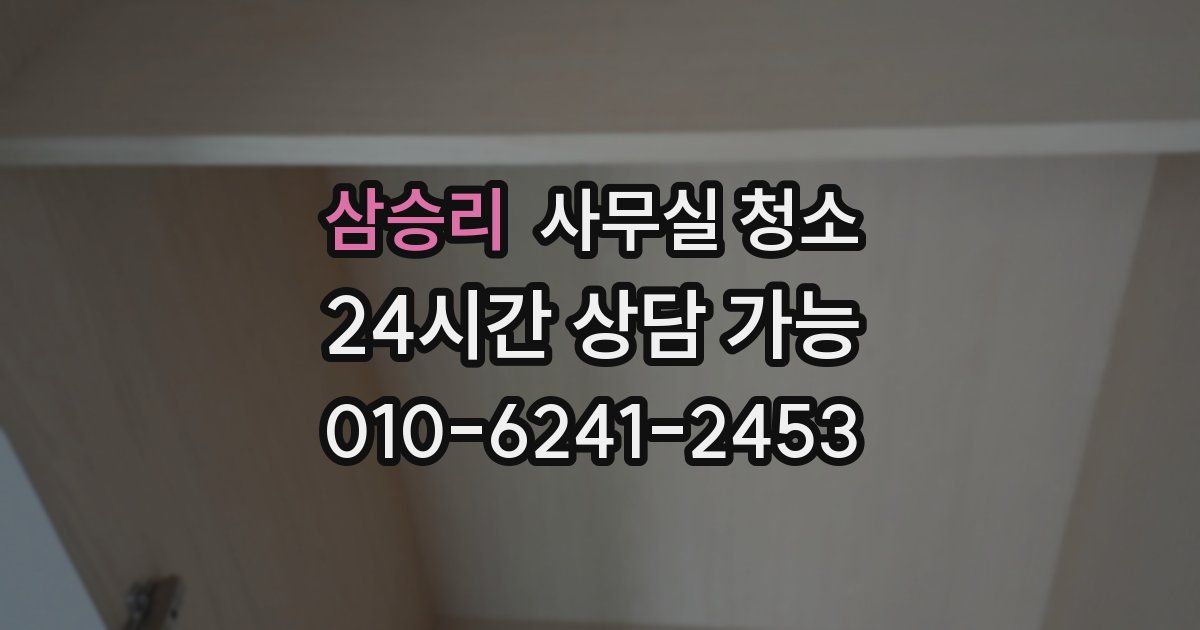 삼승리 사무실 청소
