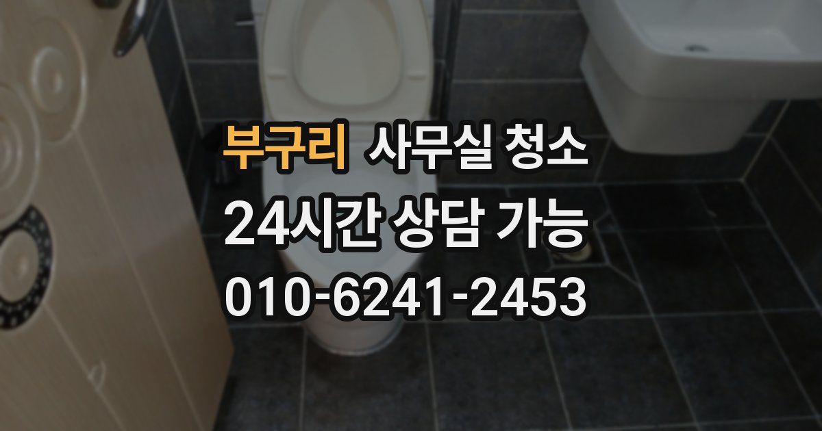 부구리 사무실 청소