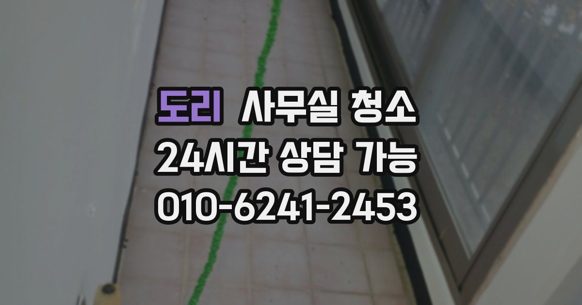 도리 사무실 청소