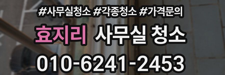 효지리 사무실 청소