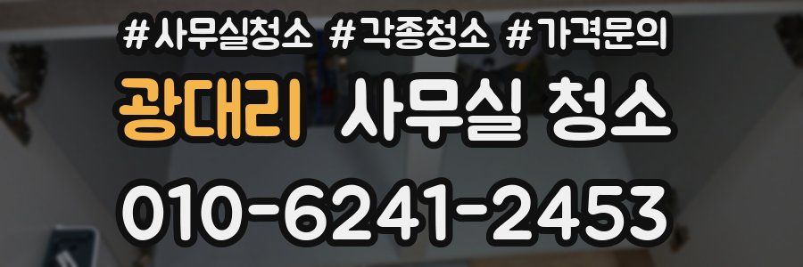 광대리 사무실 청소