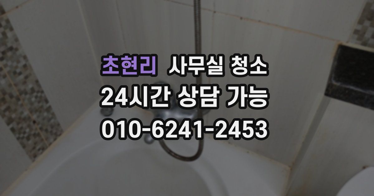 초현리 사무실 청소