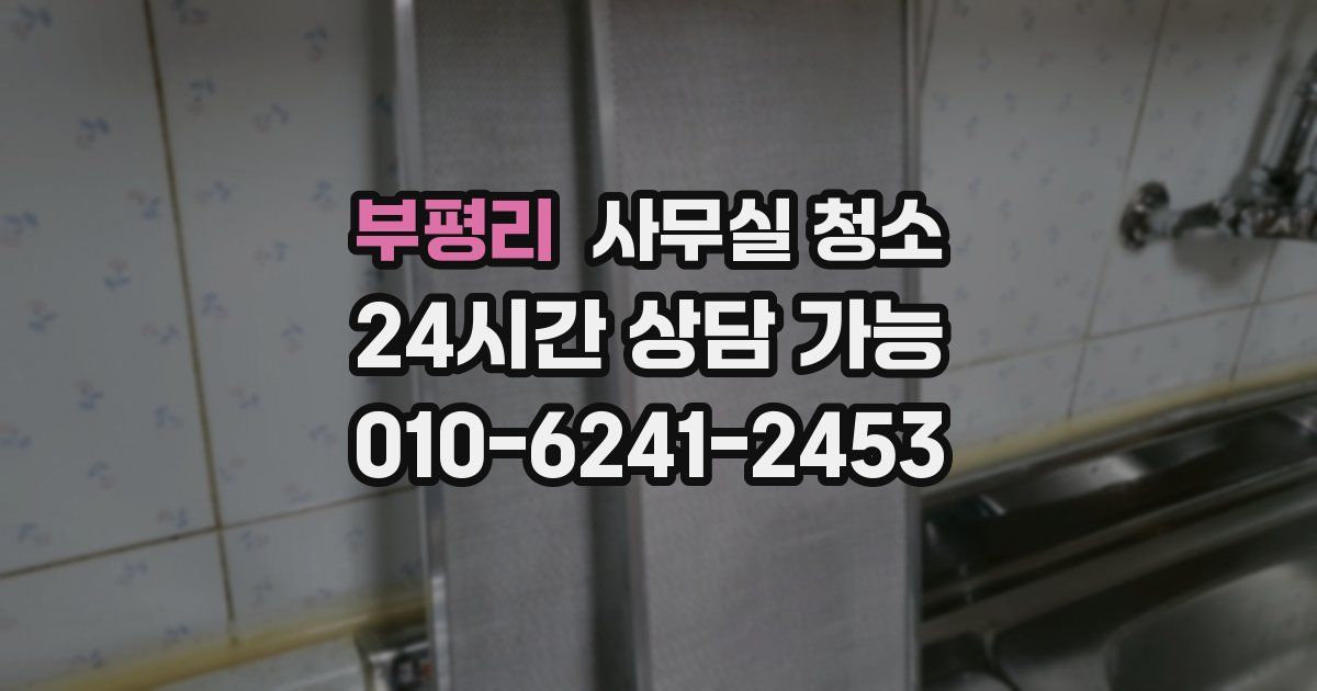 부평리 사무실 청소
