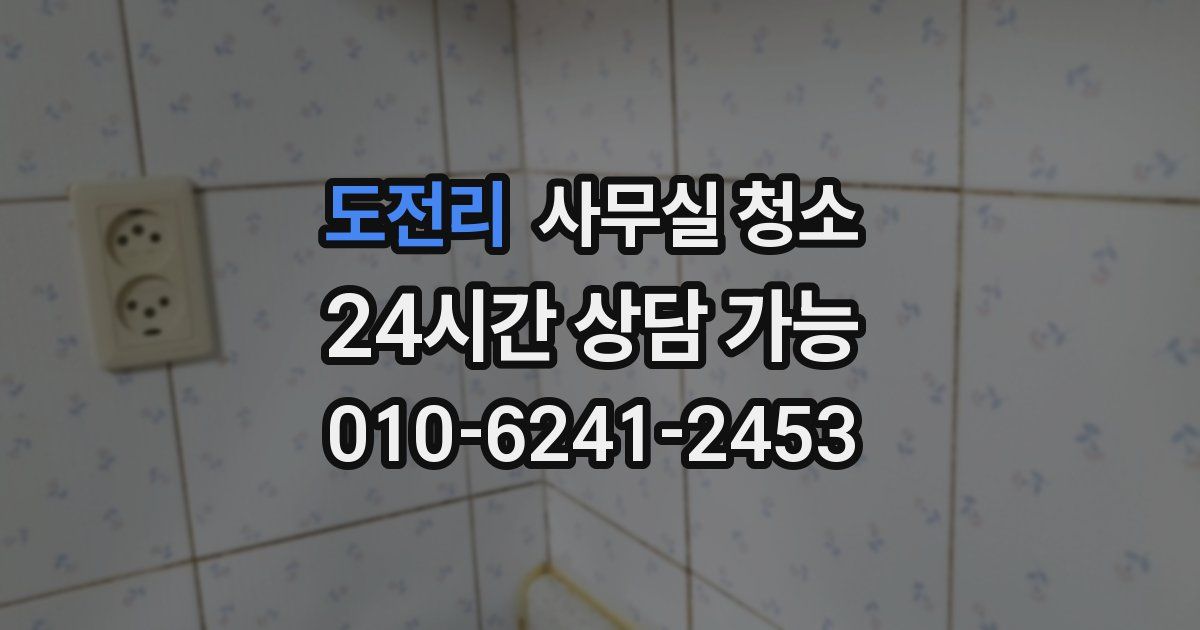 도전리 사무실 청소
