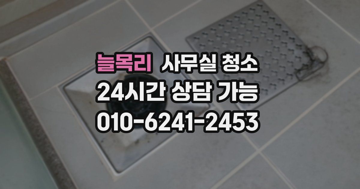 늘목리 사무실 청소